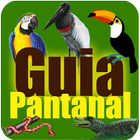 Guia Turístico Pantanal MT biểu tượng