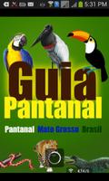 Guia Turístico Pantanal MT ポスター