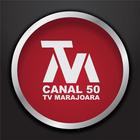 TV MARAJOARA CANAL 50 icon