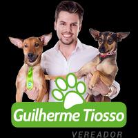 Vereador Guilherme Tiosso capture d'écran 2