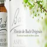 Florais de Bach e Patologia
