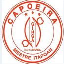 Capoeira - Ginga Sem Limite APK