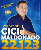 Vereador Cici Maldonado 22.123 पोस्टर