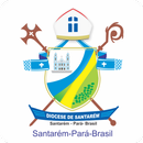 Diocese de Santarém APK