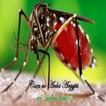 Caça ao Aedes em Jardim Brasil