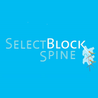 SelectBlock Spine 아이콘