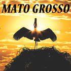 Maravilhas de Mato Grosso icon
