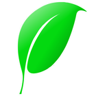 Folhinha Verde أيقونة