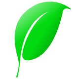Folhinha Verde icon