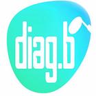 Diag.B আইকন