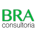 BRA Consultoria icône