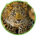 POUSADA VILARICA APK