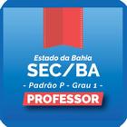 Icona SEE-BA Professor Padrão