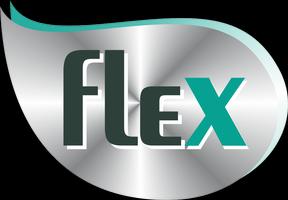 Flex Frota 海報