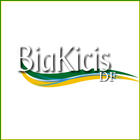 Bia Kicis icon
