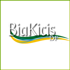 Bia Kicis icône