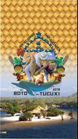 Boto Tucuxi-poster