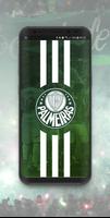 Eu Amo o Palmeiras: Libertadores 2018 海報