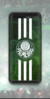 Eu Amo o Palmeiras: Libertadores 2018 постер