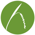 Arrozeiro