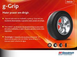 Folheteria BFGoodrich imagem de tela 2