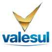 Valesul Chevrolet ícone