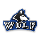 Radio Wolf APK