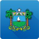 Protocolo NET Consulta - RN APK