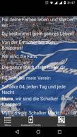 Schalke 04 - Fangesänge โปสเตอร์