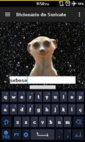 Dicionário do Suricate ภาพหน้าจอ 3