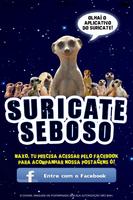 Suricate Cartaz