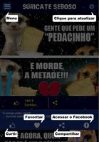 Suricate imagem de tela 3