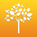 Bosque dos Ipês APK