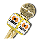 Rádio Paiquerê  91,7 FM 图标