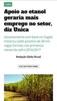 Revista Globo Rural capture d'écran 2