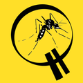 Mosquito Quiz