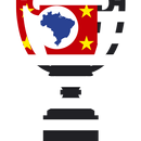 Copa São Paulo de Futebol JR APK