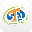 São Francisco de Assis Palmas APK