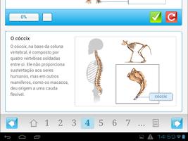 O esqueleto humano capture d'écran 3