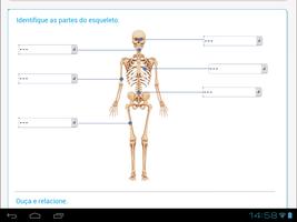 O esqueleto humano 스크린샷 1