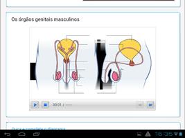 A reprodução humana ảnh chụp màn hình 2