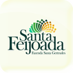 Santa Feijoada
