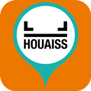 Dicionário Ilustrado Houaiss APK