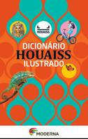 Poster Dicionário Ilustrado Houaiss