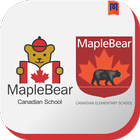 Icona Maple Bear Prudente