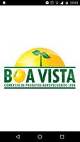 Boa Vista 海报