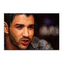 Gustavo Lima APK