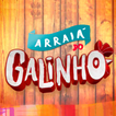 ARRAIA DO GALINHO