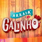 ARRAIA DO GALINHO أيقونة
