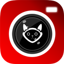 Gatocam APK